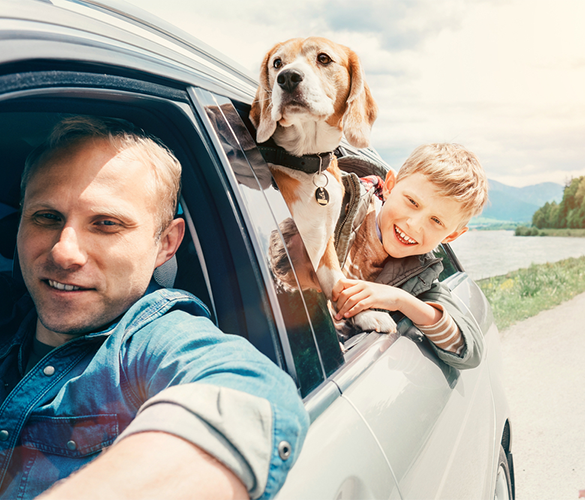 Florida Autoowners with auto insurance coverage